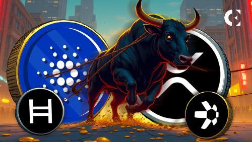 比特币回调或成山寨币崛起良机:XRP、ADA、<span class='keyword'>HB</span>AR 和 QNT 值得关注
