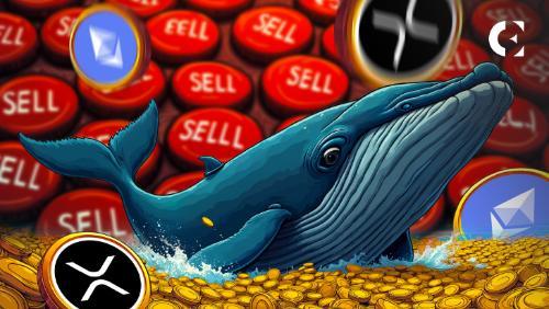 加密货币鲸鱼抛售XRP和ETH套现750万美元，但仍坚定看好Solana