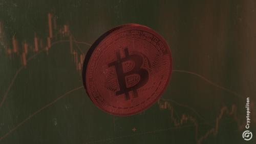 Bitfarms 转型人工智能领域，比特币挖矿业务退居次席，净亏损达 3600 万美元