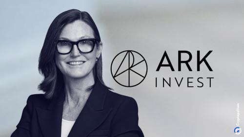 ARK首席执行官盛赞Coinbase与特斯拉引领区块链及股票市场革新