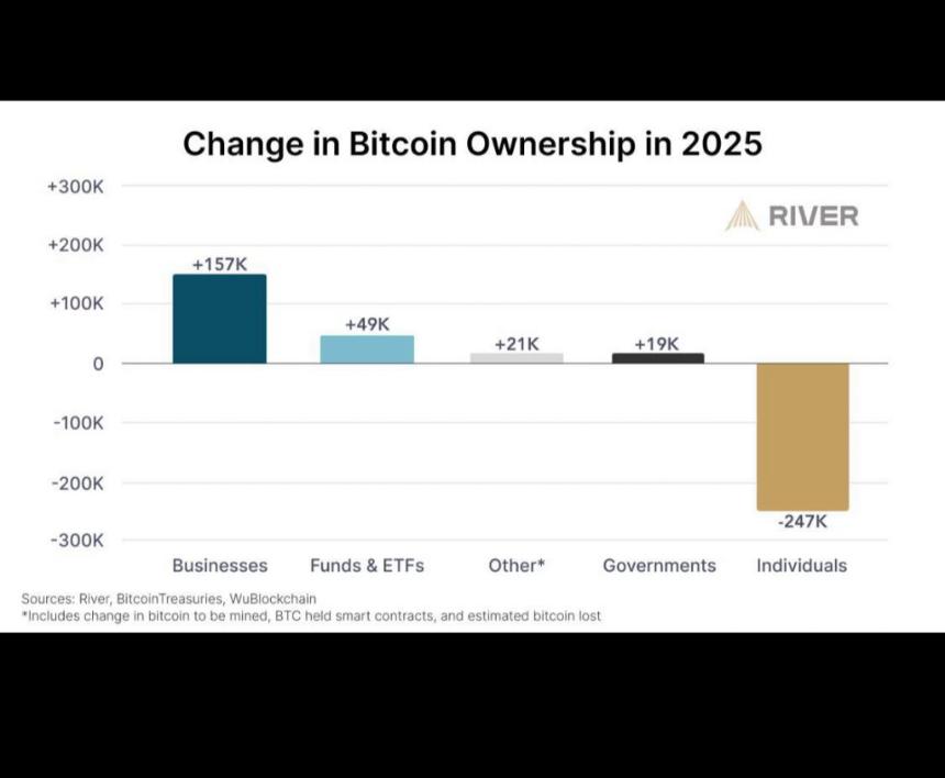  2025年比特币所有权报告：企业超越散户投资者 