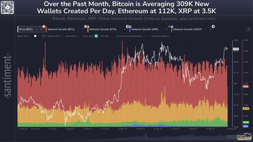 比特币每日新增钱包数量突破 30.9 万,以太坊紧随其后,XRP 则落后