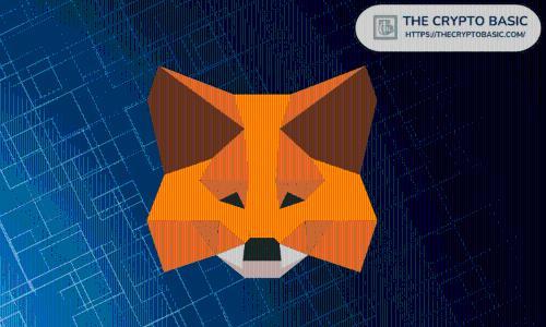 MetaMask联合创始人证实仍在评估发行代币的可能性