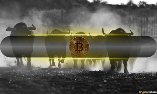 分析师:比特币价格维持六位数,牛市信号持续增强