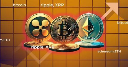 比特币每日新增钱包数量达30.9万，以太坊次之，XRP增长乏力