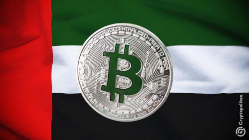 阿联酋主权基金穆巴达拉增持比特币ETF，加密货币投资热潮持续升温