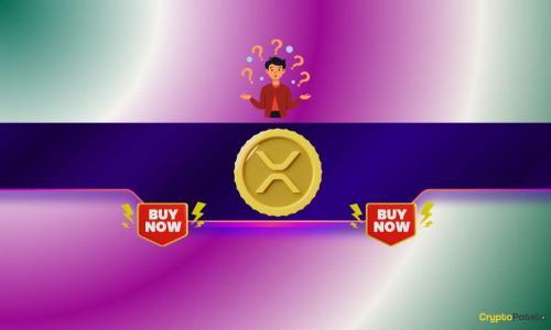 瑞波币XRP:被低估的投资机会还是高风险泡沫?
