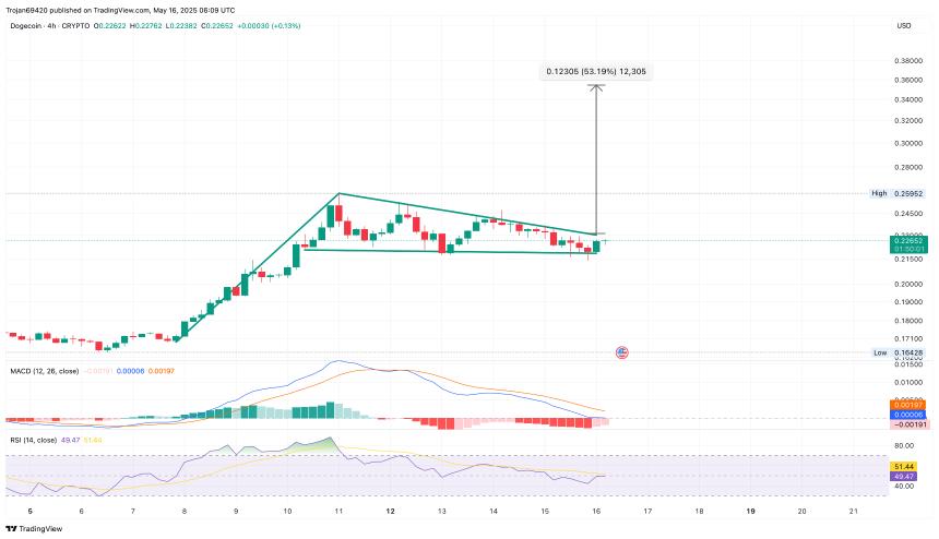 Dogecoin Price Chart