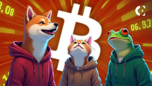 比特币牛市推动 Solana 平台 Memecoin 部署热潮