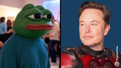 埃隆·马斯克更改X账户名为“Kekius Maximus”引发青蛙主题代币暴涨120%