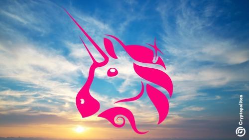 Uniswap 重夺 DEX 龙头地位，市场份额达 65% 超越 Raydium