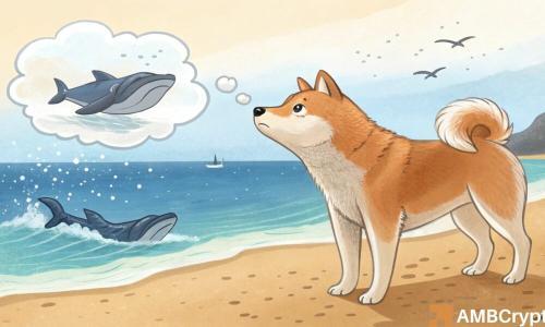 柴犬鲸鱼活动骤降66%,面临进一步下行风险