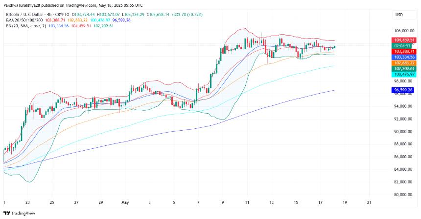 比特币价格动态（来源：TradingView）