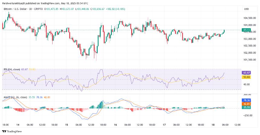 比特币价格动态（来源：TradingView）