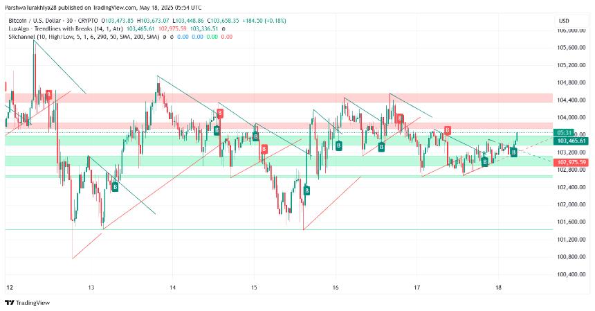 比特币价格动态（来源：TradingView）