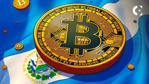萨尔瓦多比特币投资组合估值突破6.44亿美元 总回报率达124%