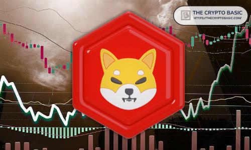 分析师预测柴犬（SHIB）突破在即，投资者需密切关注市场动向