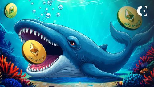 以太坊鲸鱼增持逾140万枚ETH，价格逼近3000美元关键阻力位