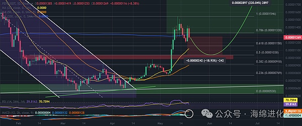 PEPE / USDT 1 日图，潜在回调。资料来源：TradingView / Binance。