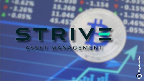 Strive计划通过折扣债权收购比特币，瞄准Mt Gox债权人资产