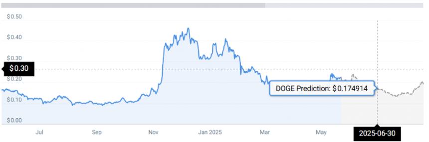 DOGE STATS