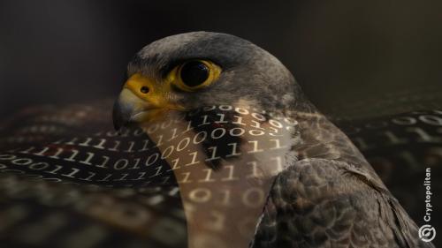 阿联酋推出 Falcon Arabian AI，全力挑战 Meta 和阿里巴巴