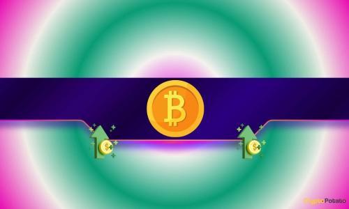 比特币创新高后:投资者如何避免“传奇般的遗憾”?
