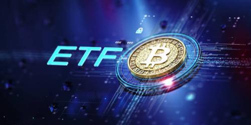 VanEck 高管批评美国 SEC 对比特币 ETF 期权审批的拖延行为