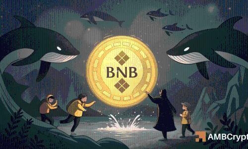 BNB价格面临关键阻力位：巨鲸做空行为引发多头警惕