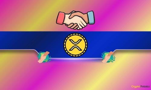 BankSocial CEO：Ripple (XRP) 的链上交易量或将增长 10 亿倍