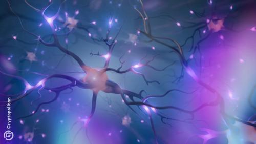 Valve旗下Starfish Neuroscience宣布推出微型脑芯片，预计2025年底上市