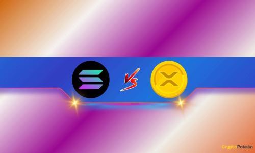 Ripple (XRP) 与 Solana (SOL)：资深交易员探讨投资潜力