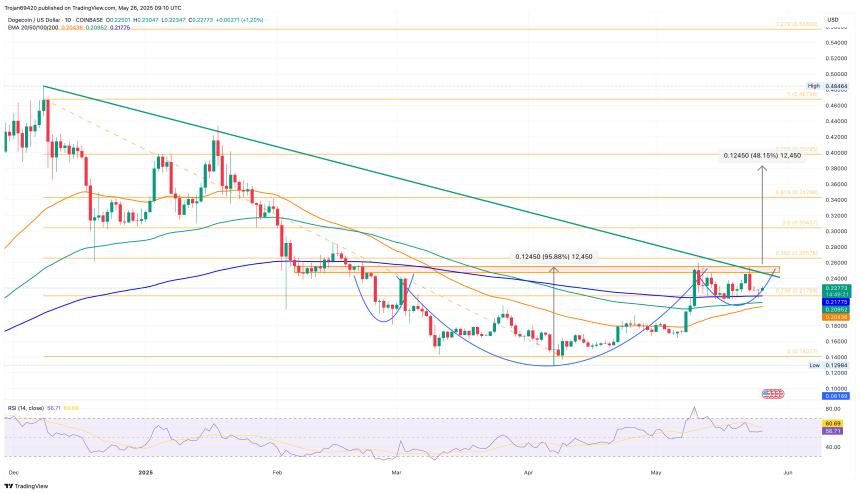Dogecoin Price Chart