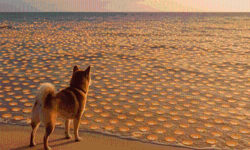 柴犬币2025年能否达到1美元？深度解析其可能性与挑战