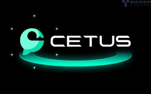Cetus 安全事件反思：DeFi 团队需警惕技术与金融风险的双重短板