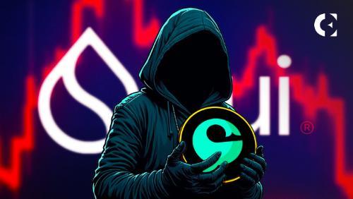 Sui社区就Cetus黑客事件资金返还展开投票讨论：去中心化与用户保护的权衡