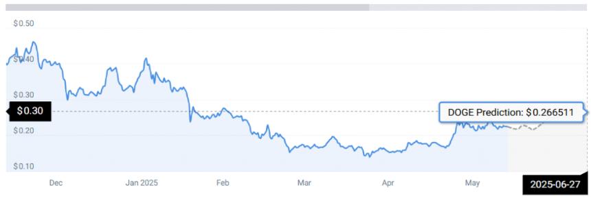 狗狗币(DOGE)和卡尔达诺(ADA)2025年6月预测