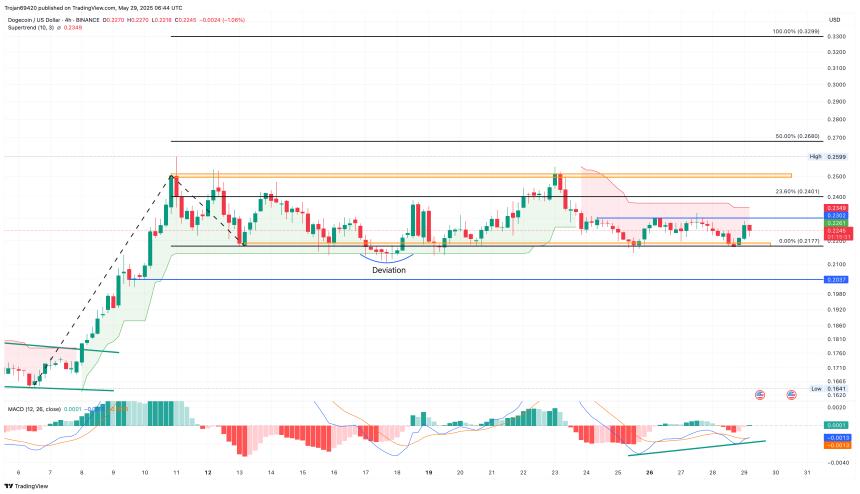 Dogecoin Price Analysis
