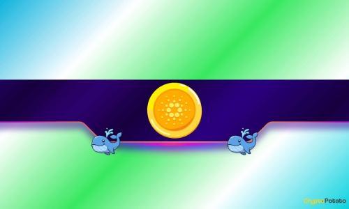 Cardano 新闻：鲸鱼囤积与比特币序数整合能否助推 ADA 达到 10 美元？