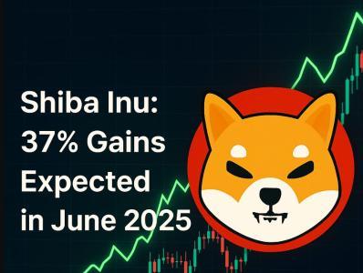 SHIB价格预测：2025年6月目标上涨37%，鲸鱼活动推动市场增长
