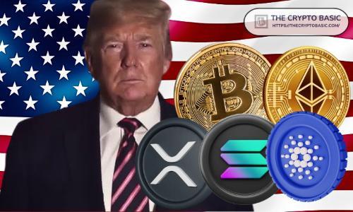 自特朗普上任以来,XRP表现亮眼,涨幅远超比特币、以太坊和Solana