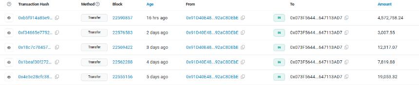 Whale BONE Transaction In Last Five Days