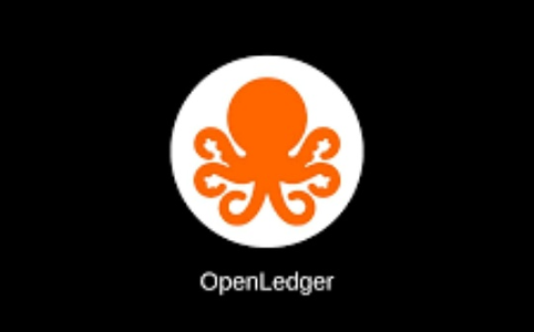 OpenLedge 研报：数据与模型可变现的 AI 链