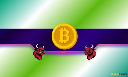 比特币价格分析:三大看涨因素与两大看跌信号