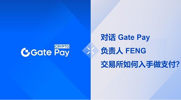 Artemis 研报：来自稳定币支付采用的一线数据