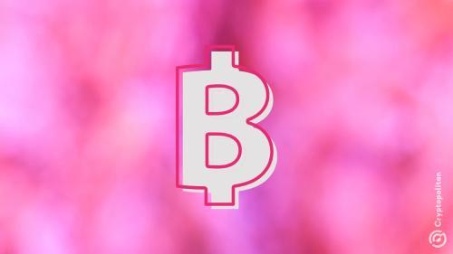 巴西公司 Méliuz 通过股票发行筹集资金以扩大比特币投资