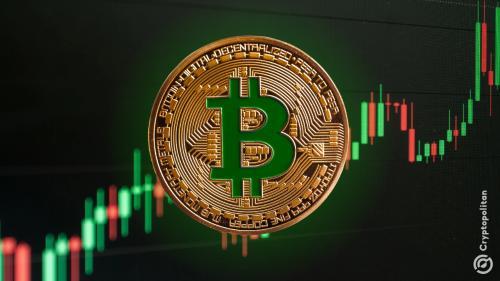  BTC 惩罚空头，但山寨币对多头的惩罚更严厉 