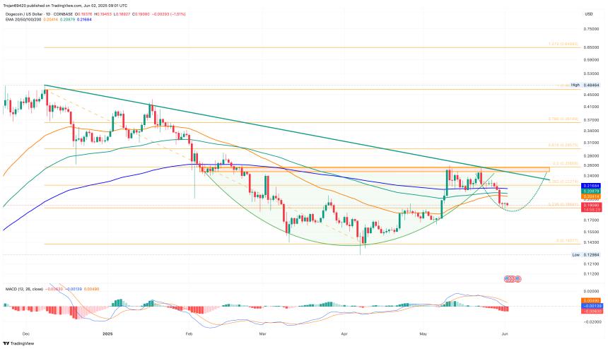 Dogecoin Price Chart
