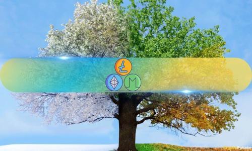 分析师预测：山寨币仍有望在本轮牛市迎来历史性上涨
