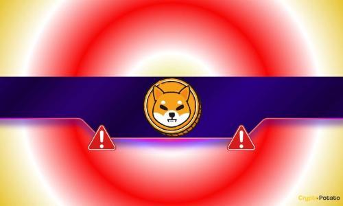 柴犬指标跌至三个月低点：SHIB价格前景面临挑战与潜在转机
